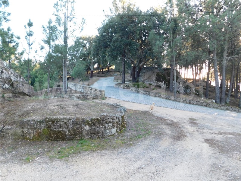 Terreno  Fundão, Pêro Viseu - 1226718 - 12