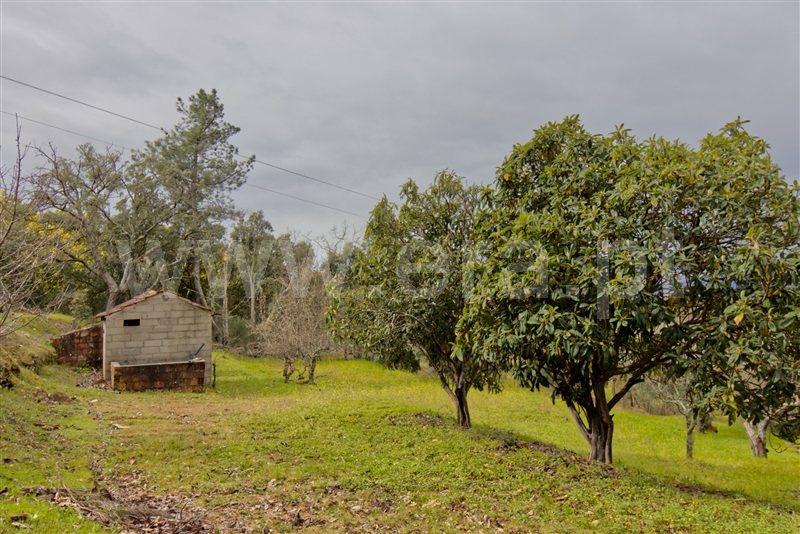 Terreno / Fundão, Fundão, Valverde, Donas, Aldeia de Joanes e Aldeia Nova do Cabo