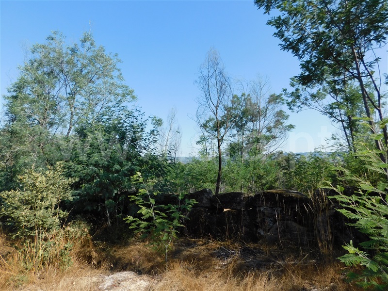 Terreno  Fundão, Pêro Viseu - 233628 - 3