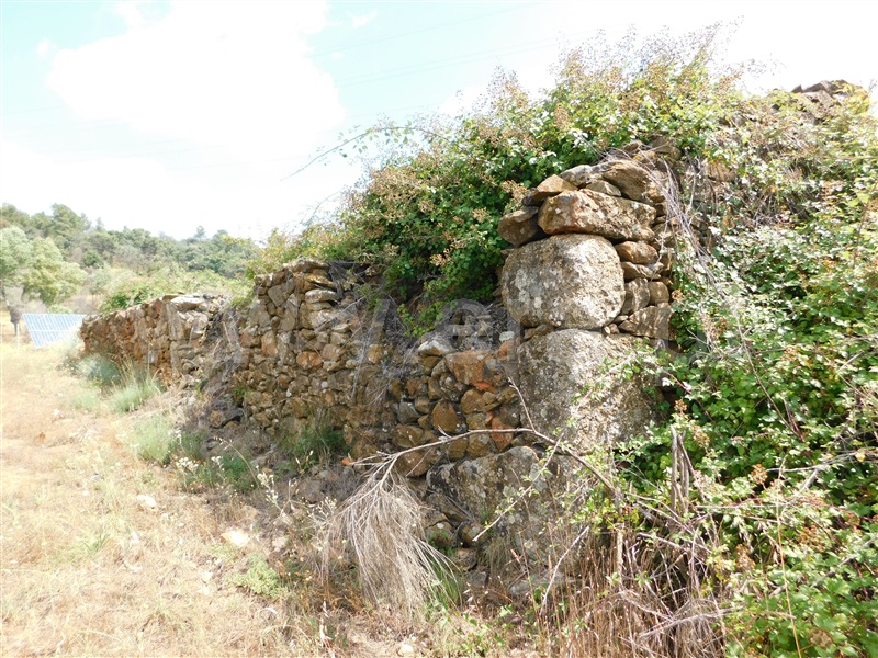 Terreno  Fundão, Pêro Viseu - 233628 - 4