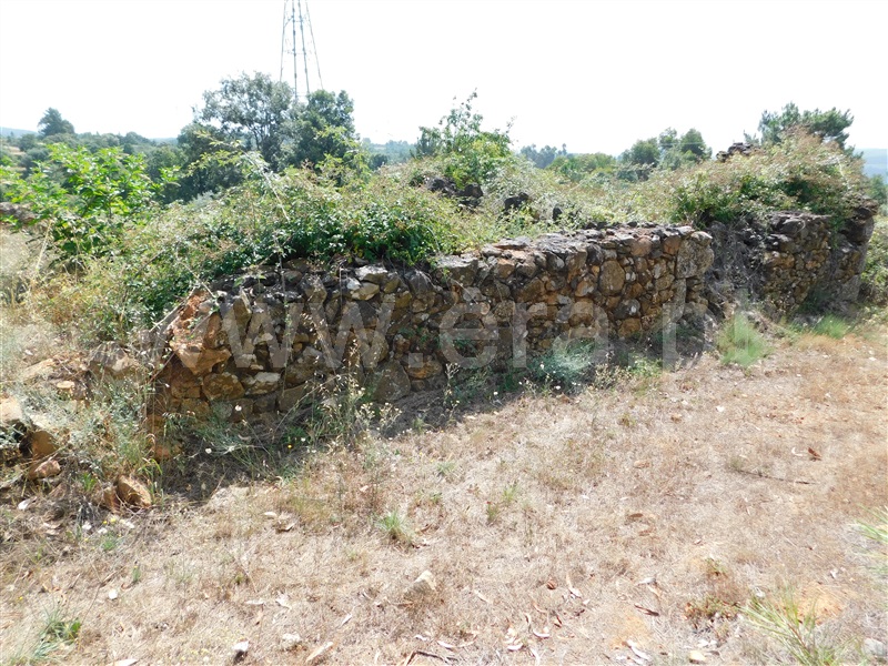 Terreno  Fundão, Pêro Viseu - 233628 - 5