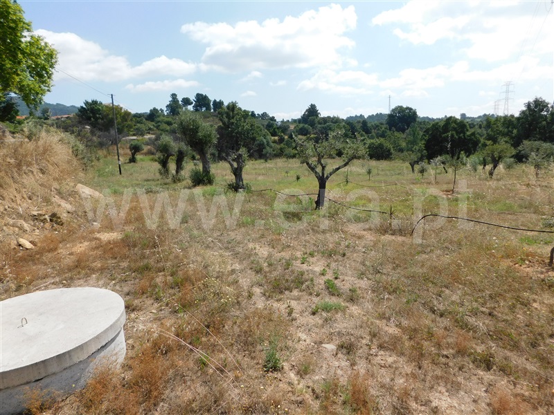 Terreno  Fundão, Pêro Viseu - 233628 - 8