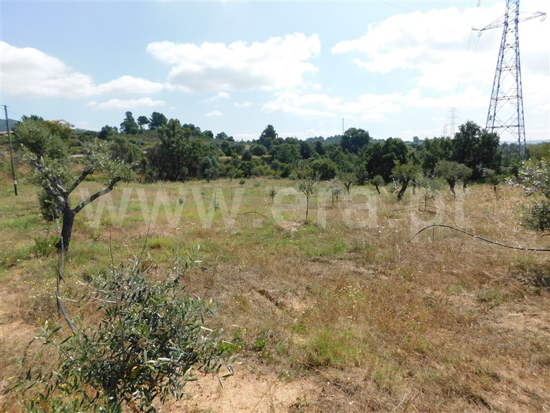 Terreno  Fundão, Pêro Viseu - 233628 - 10