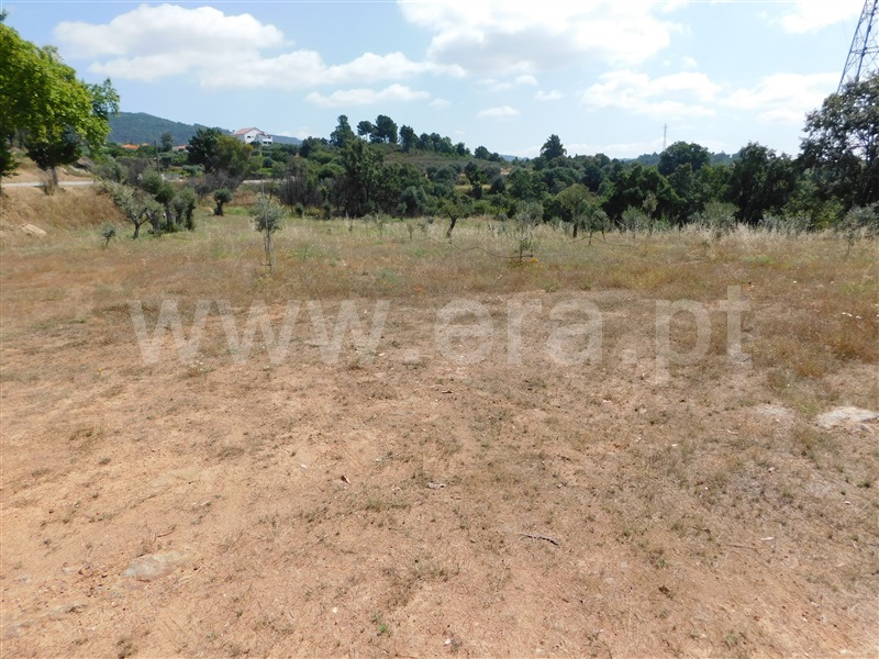 Terreno  Fundão, Pêro Viseu - 233628 - 12