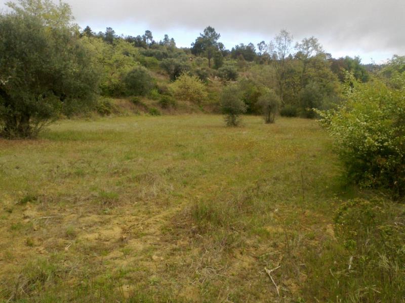 Terreno  Fundão, Pêro Viseu - 233628 - 13
