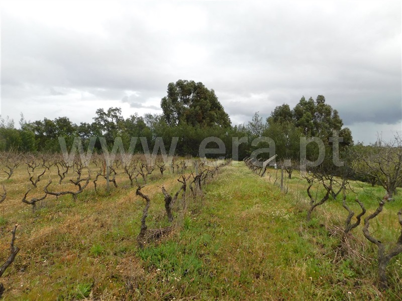 Terreno  Fundão, Póvoa da Atalaia - 1315345 - 2