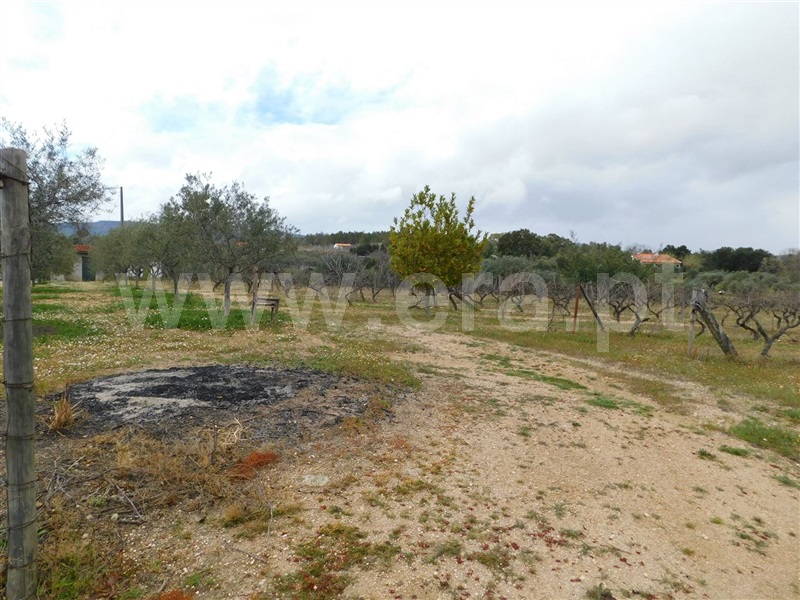 Terreno  Fundão, Póvoa da Atalaia - 1315345 - 3