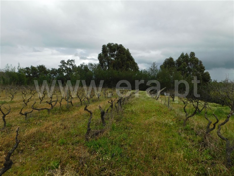 Terreno  Fundão, Póvoa da Atalaia - 1315345 - 5
