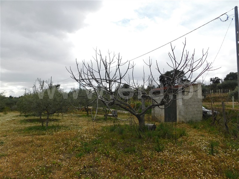Terreno  Fundão, Póvoa da Atalaia - 1315345 - 7