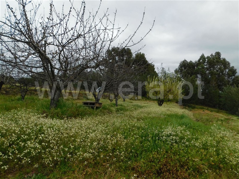 Terreno  Fundão, Póvoa da Atalaia - 1315345 - 8