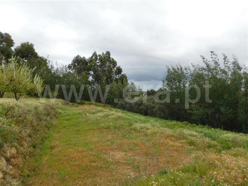 Terreno  Fundão, Póvoa da Atalaia - 1315345 - 9