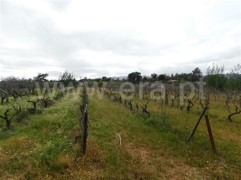 Terreno  Fundão, Póvoa da Atalaia - 1315345 - 10