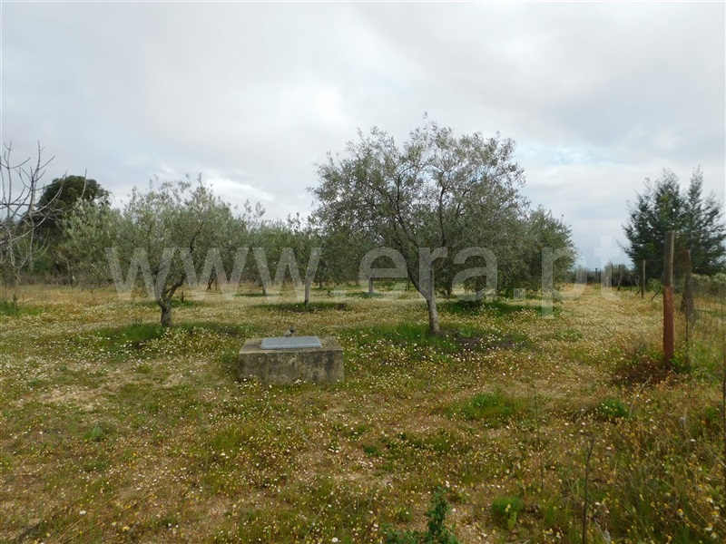 Terreno  Fundão, Póvoa da Atalaia - 1315345 - 11