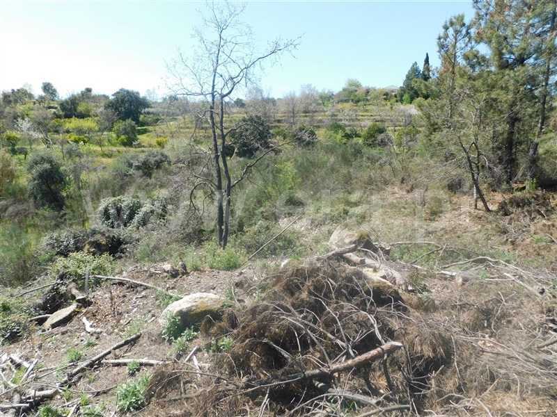 Terreno  Fundão, Póvoa da Atalaia - 1317983 - 3