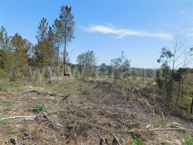 Terreno  Fundão, Póvoa da Atalaia - 1317983 - 5