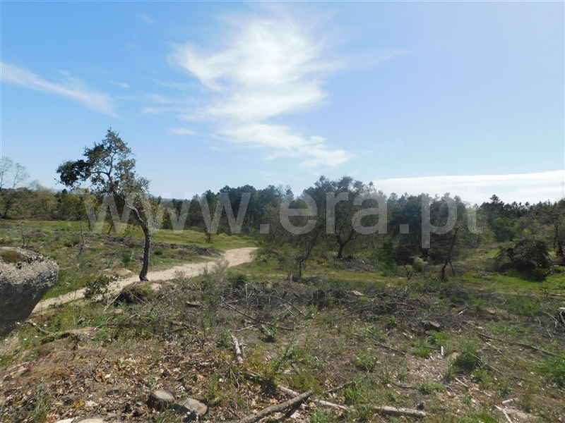 Terreno  Fundão, Póvoa da Atalaia - 1317983 - 6
