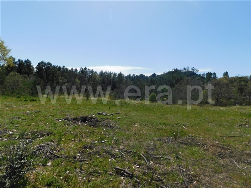 Terreno / Fundão, Póvoa da Atalaia