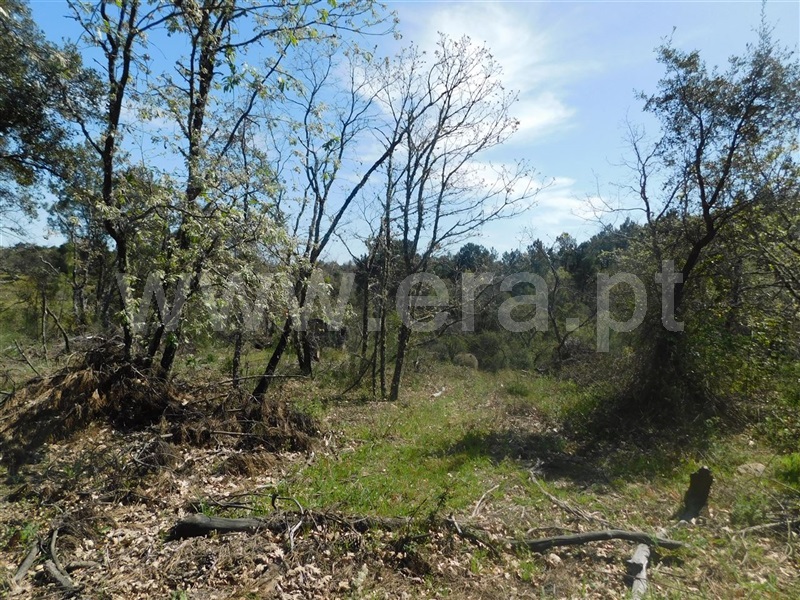 Terreno  Fundão, Póvoa da Atalaia - 1317983 - 9