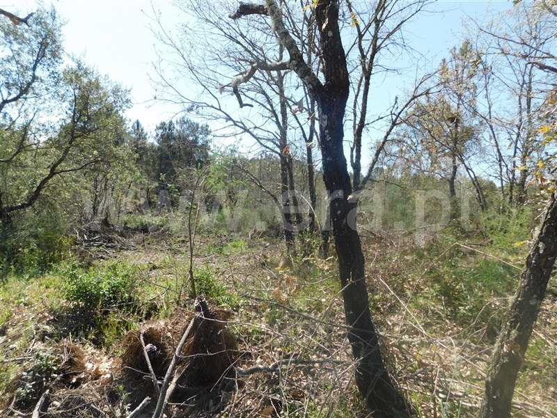 Terreno  Fundão, Póvoa da Atalaia - 1317983 - 10