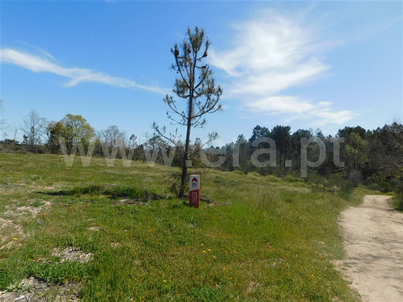 Terreno  Fundão, Póvoa da Atalaia - 1317983 - 12