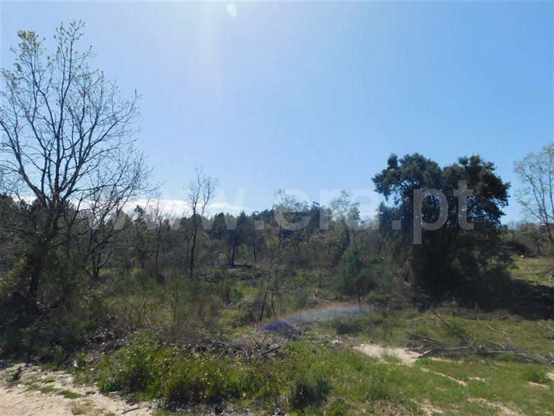 Terreno  Fundão, Póvoa da Atalaia - 1317983 - 13