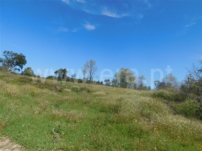 Terreno  Fundão, Póvoa da Atalaia - 1317983 - 14