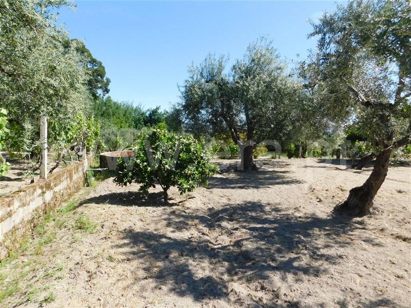 Terreno  Fundão, Póvoa da Atalaia - 1323038 - 7