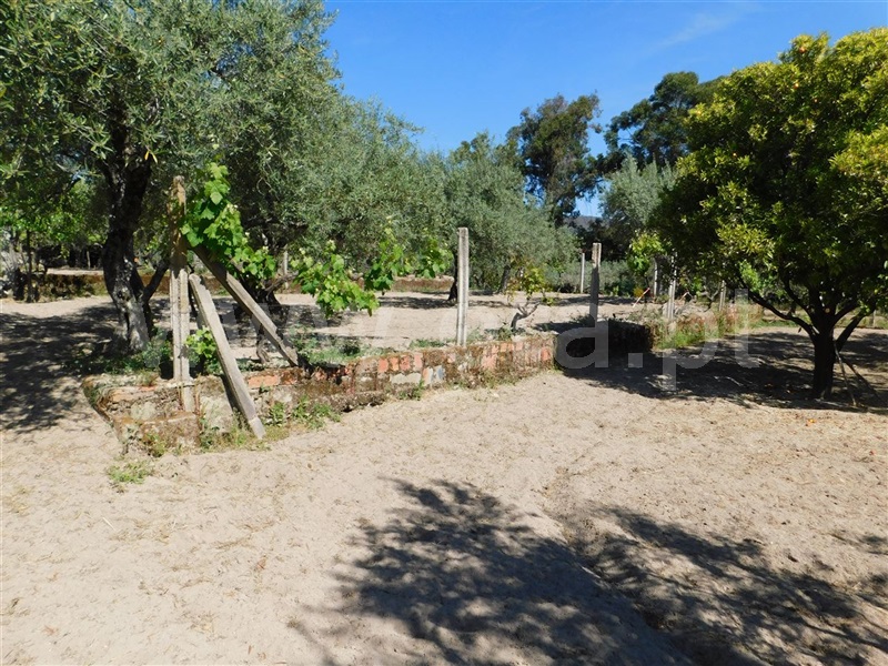 Terreno  Fundão, Póvoa da Atalaia - 1323038 - 8