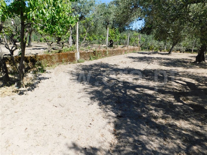 Terreno  Fundão, Póvoa da Atalaia - 1323038 - 9