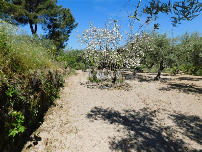 Terreno  Fundão, Póvoa da Atalaia - 1323038 - 10