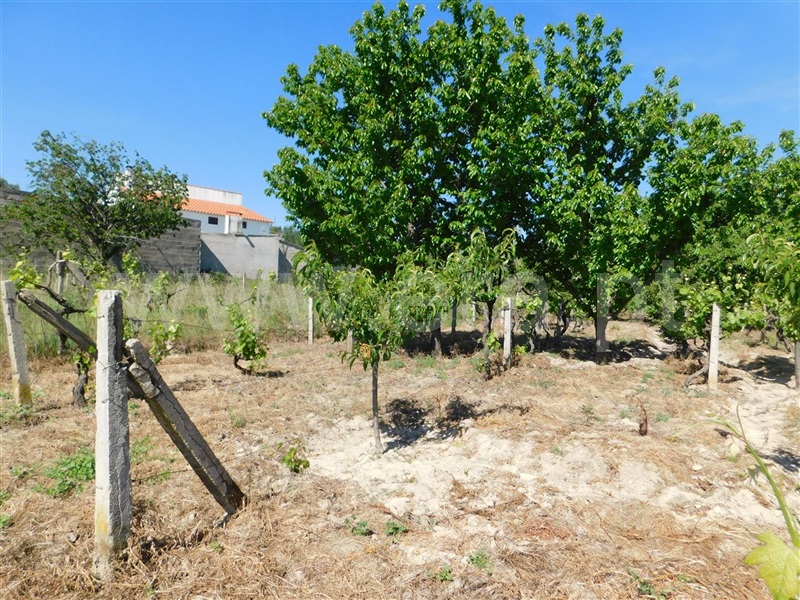 Terreno  Fundão, Póvoa da Atalaia - 1323038 - 11