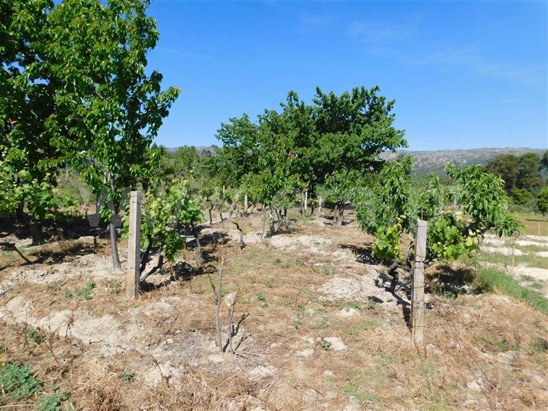 Terreno  Fundão, Póvoa da Atalaia - 1323038 - 12