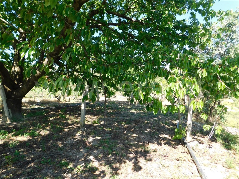 Terreno  Fundão, Póvoa da Atalaia - 1323038 - 13