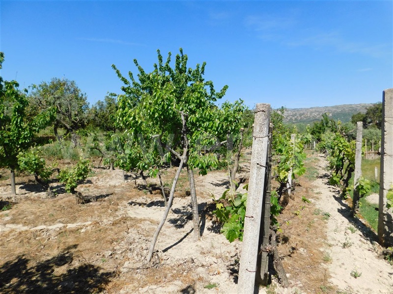 Terreno  Fundão, Póvoa da Atalaia - 1323038 - 15