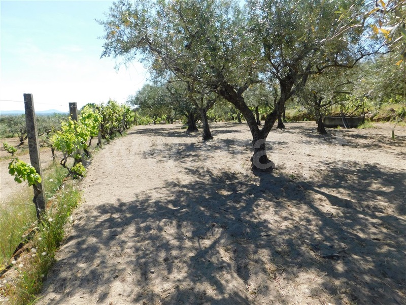 Terreno  Fundão, Póvoa da Atalaia - 1323038 - 17