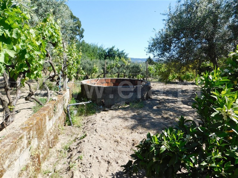 Terreno  Fundão, Póvoa da Atalaia - 1323038 - 18