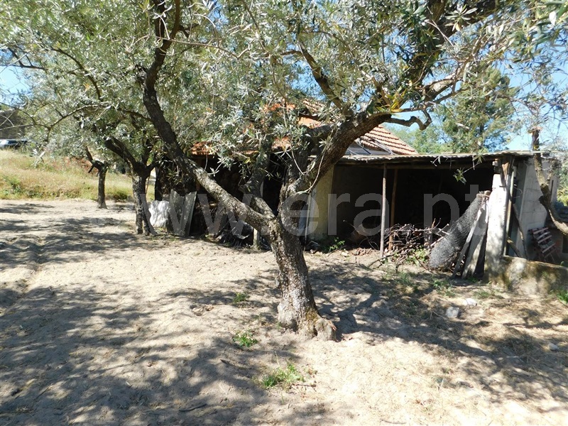 Terreno  Fundão, Póvoa da Atalaia - 1323038 - 20