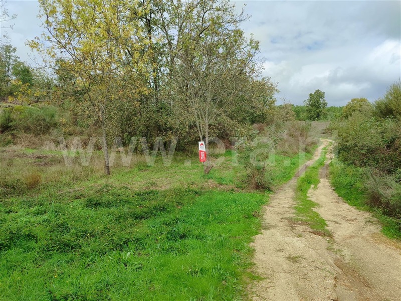Terreno / Fundão, Póvoa da Atalaia