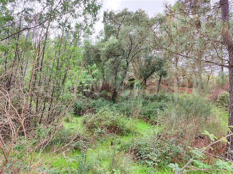 Terreno  Fundão, Póvoa da Atalaia - 1361087 - 4
