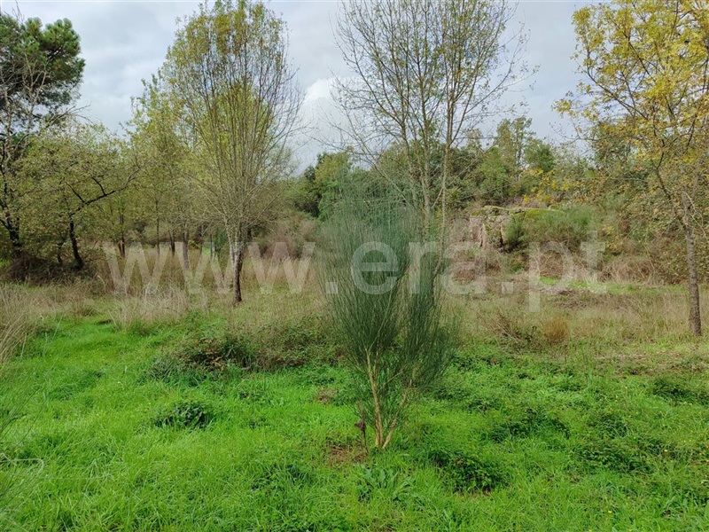 Terreno  Fundão, Póvoa da Atalaia - 1361087 - 6