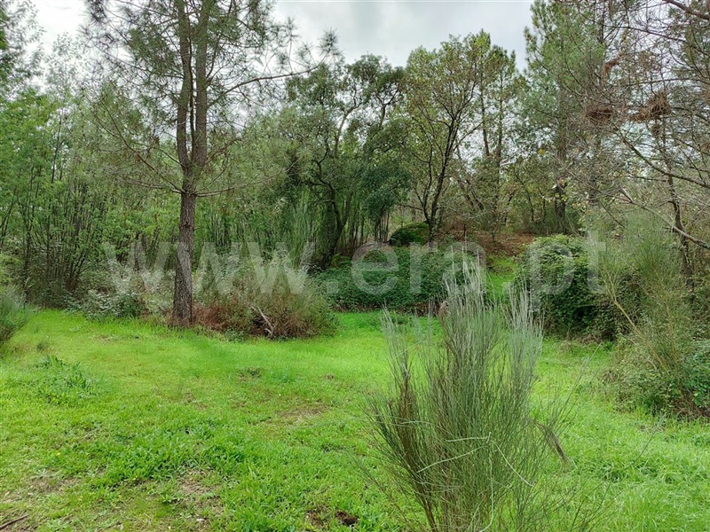 Terreno  Fundão, Póvoa da Atalaia - 1361087 - 7