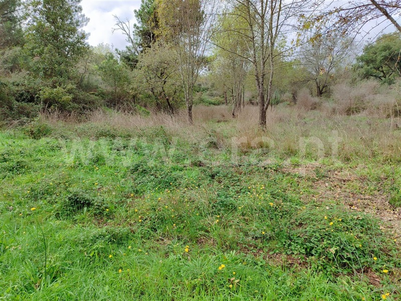 Terreno  Fundão, Póvoa da Atalaia - 1361087 - 8