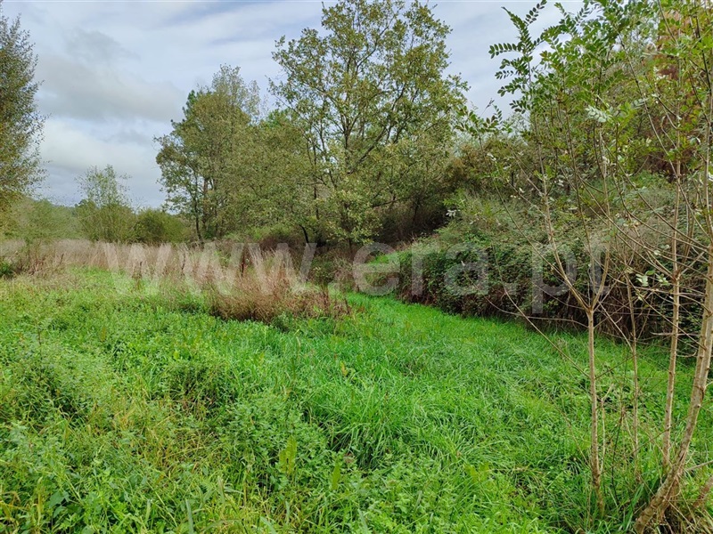 Terreno  Fundão, Póvoa da Atalaia - 1361087 - 10