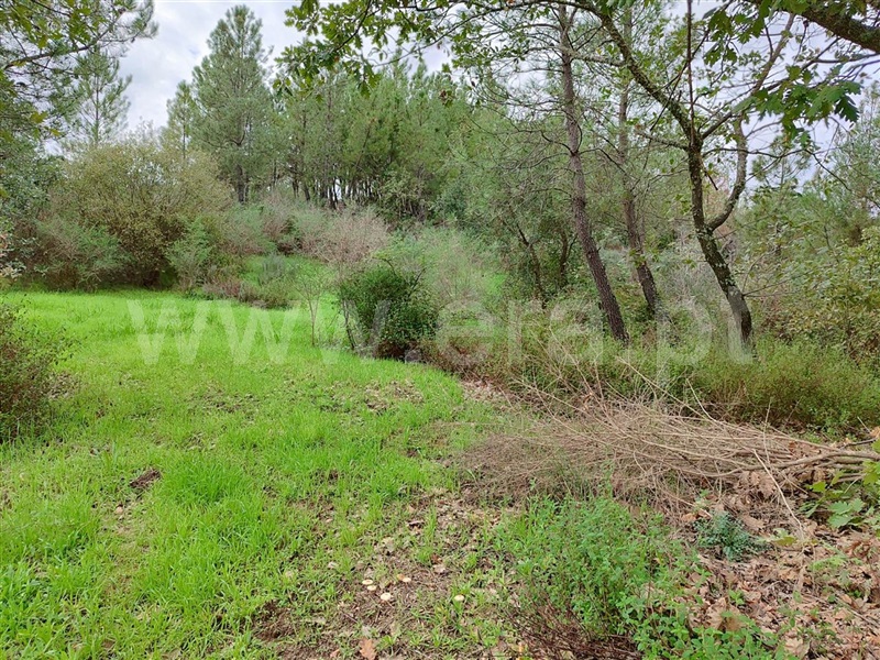 Terreno  Fundão, Póvoa da Atalaia - 1361087 - 11