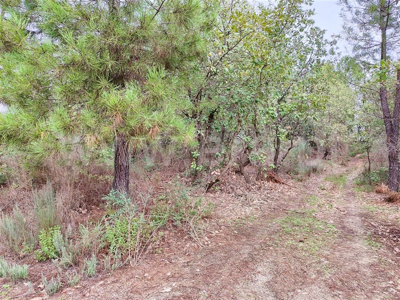 Terreno  Fundão, Póvoa da Atalaia - 1361087 - 12