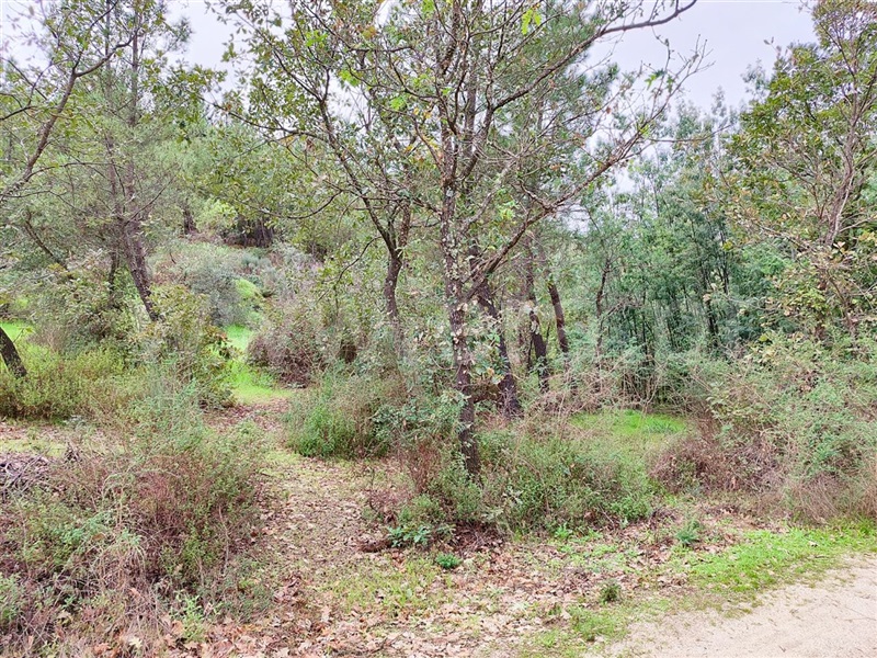 Terreno  Fundão, Póvoa da Atalaia - 1361087 - 13