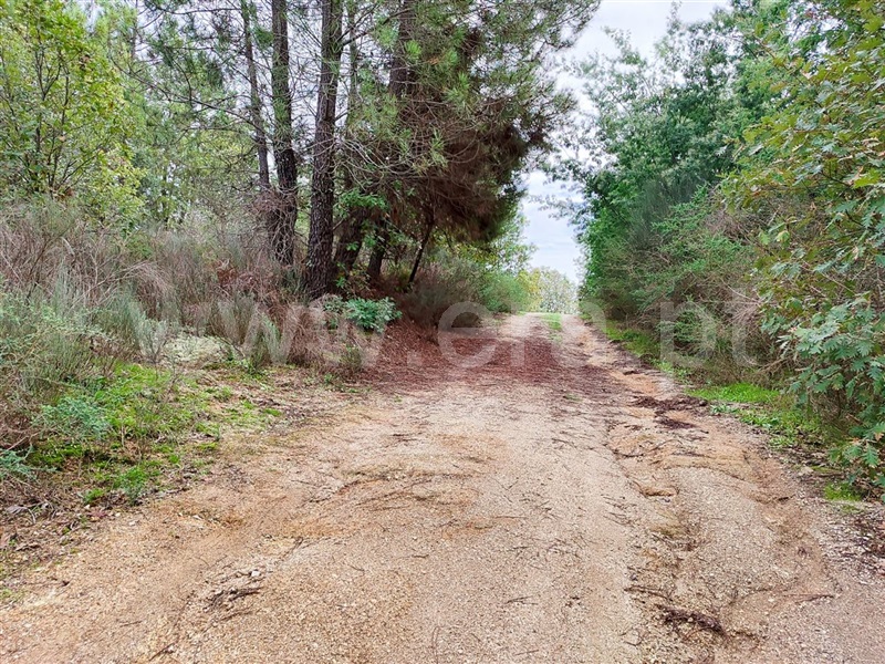 Terreno  Fundão, Póvoa da Atalaia - 1361087 - 14