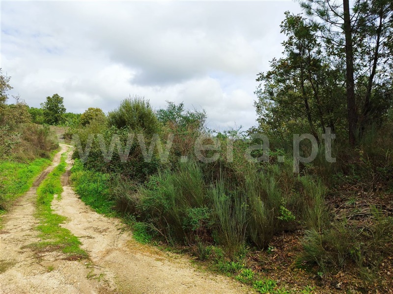 Terreno  Fundão, Póvoa da Atalaia - 1361087 - 15