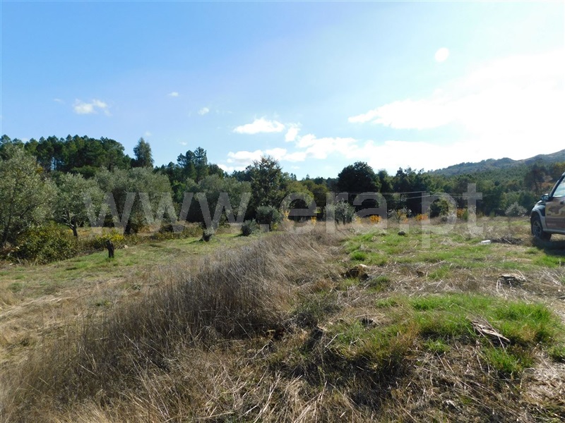 Terreno / Fundão, Quintas da Torre
