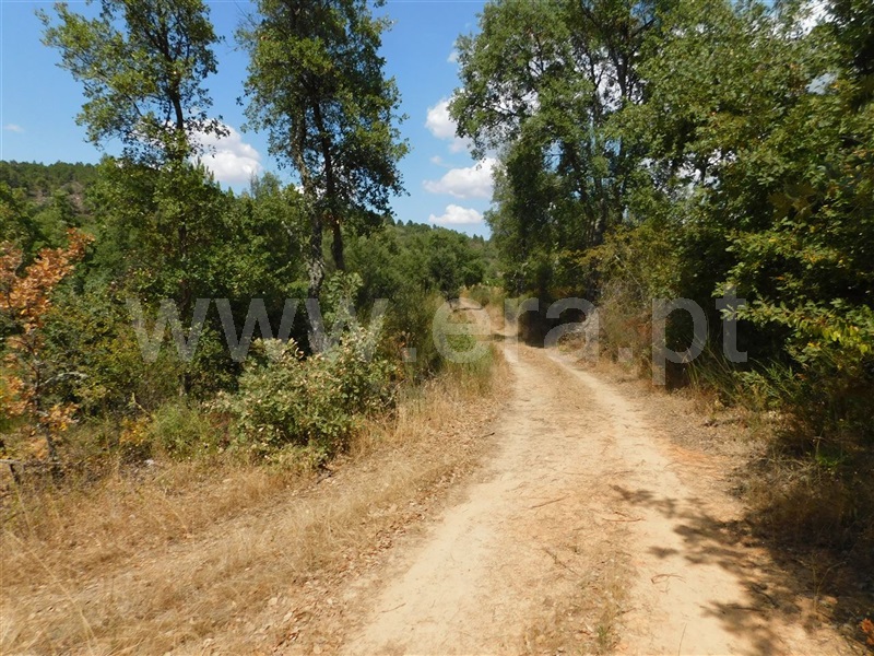 Terreno  Fundão, Quintãs - 1034505 - 5